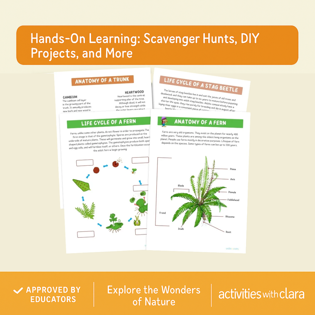 🌿 Nature Learning Journal – Fun & Educational Outdoor Activities for Kids (Scavenger Hunts, Plant & Animal Identification, Creative Projects)